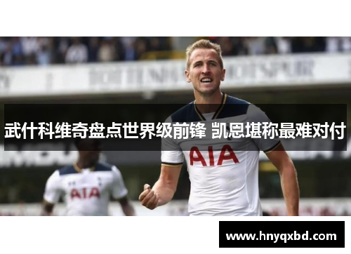 武什科维奇盘点世界级前锋 凯恩堪称最难对付